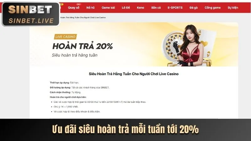 Hoàn trả tiền cược hàng tuần cho người chơi slot